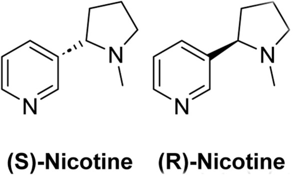(S)-nicotine and (R)-nicotine are mirror-image forms of the same molecule. Tobacco naturally contains overwhelmingly (S)-nicotine.
