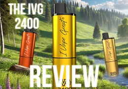 The IVG 1400 Review For 2024